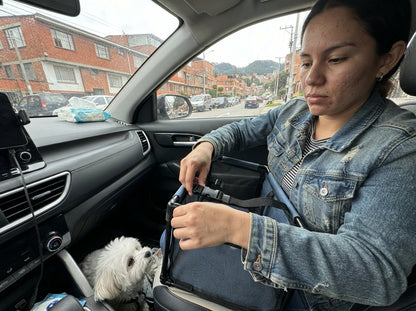 ¿Tu perro se estresa o se mueve mucho cuando viajan en carro?